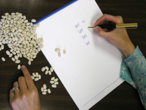 Accountant or book keeper counting beans and marking tally